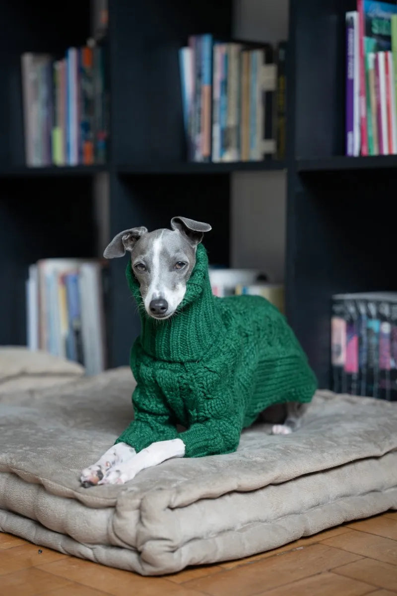 Green turtleneck thickened pet sweater