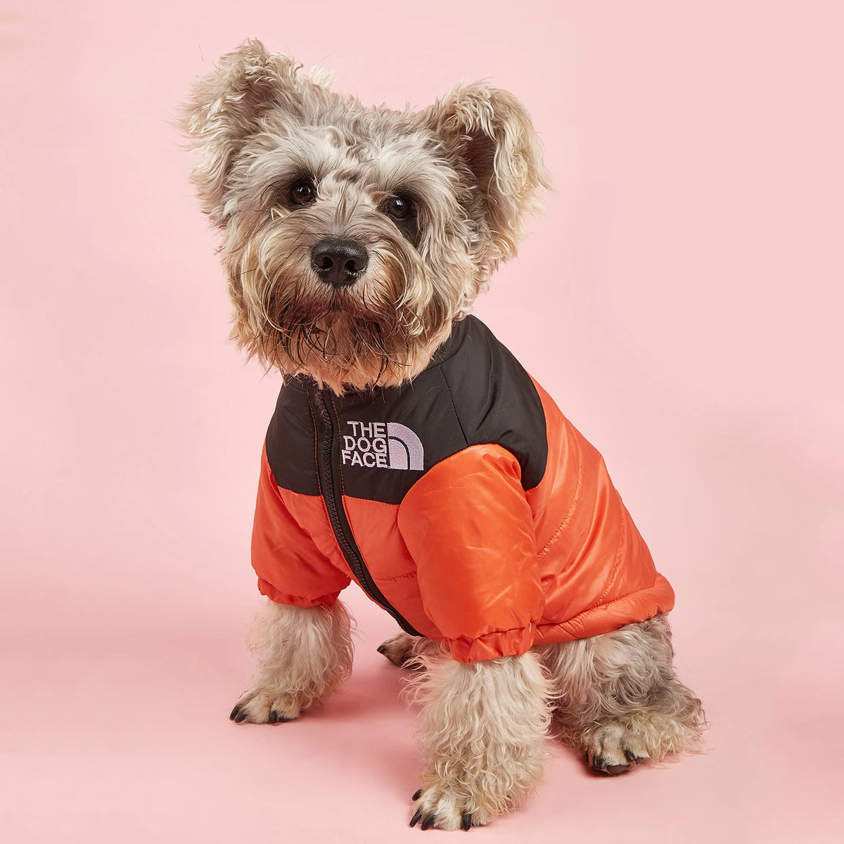 Dogs Snow Jacket