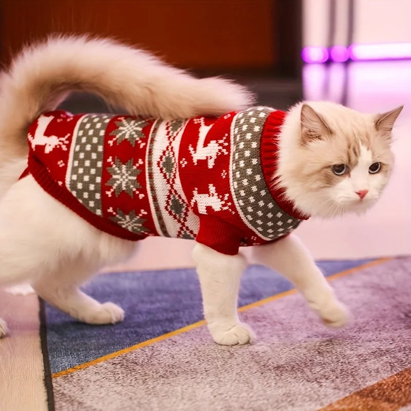 Graphic Christmas Pet Sweaters