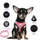 Small Cat or Dog  Harness