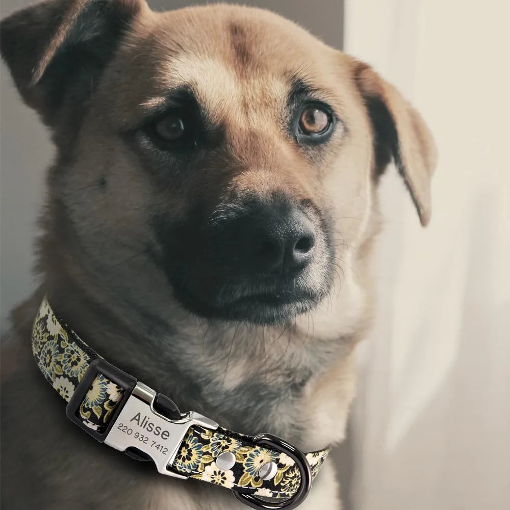 Personalized Dog Collar and Matching Leash