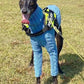 Turtleneck Twist Knitted Sweater for Dogs, Italian Greyhound Whippet, Warm Dog Coat, Dog's Winter Clothing