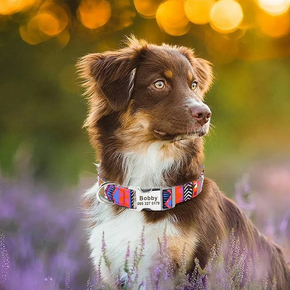 Personalized Pet Collar Nylon