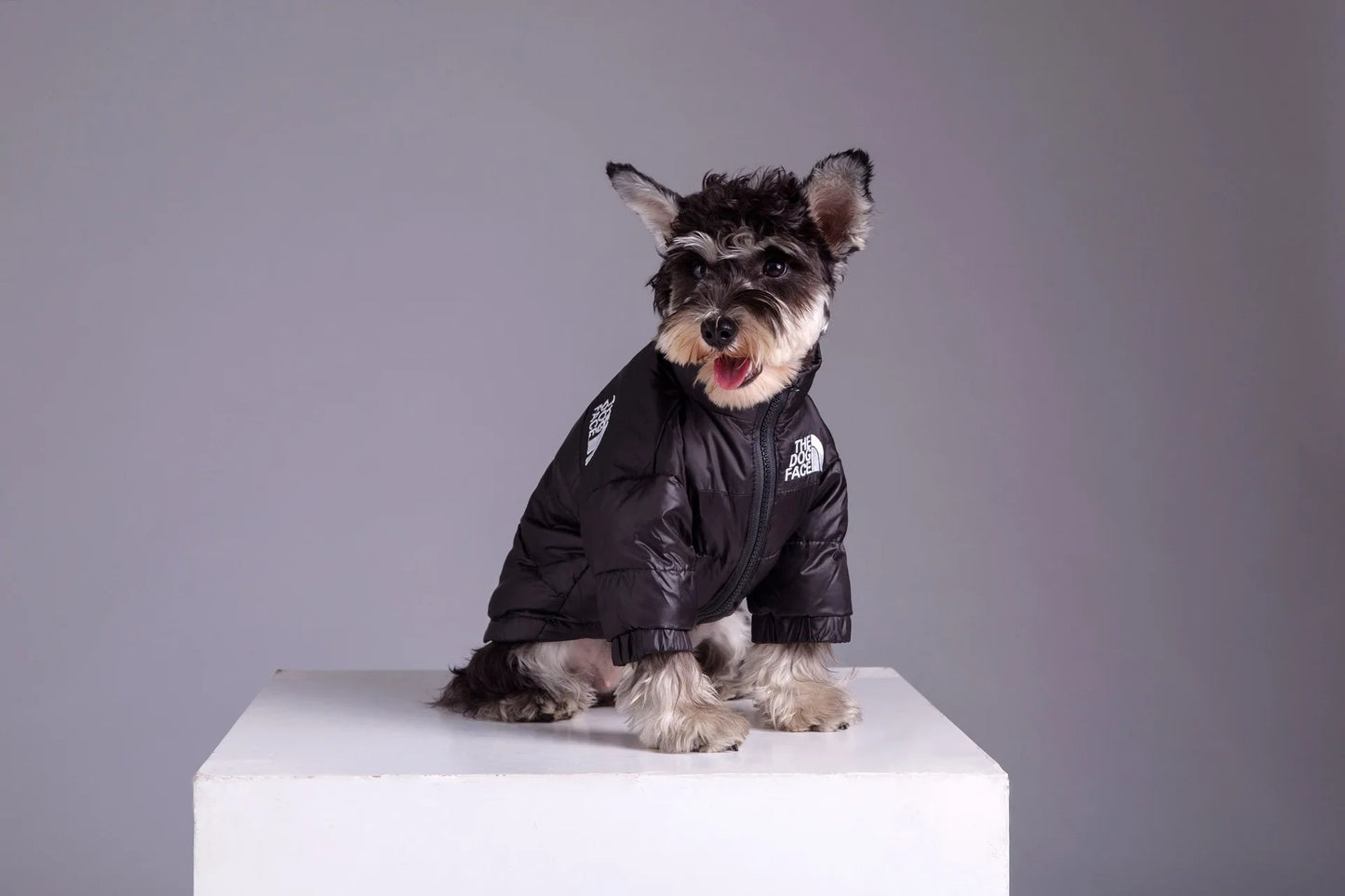 DOG FACE Warm Winter Dog Jacket