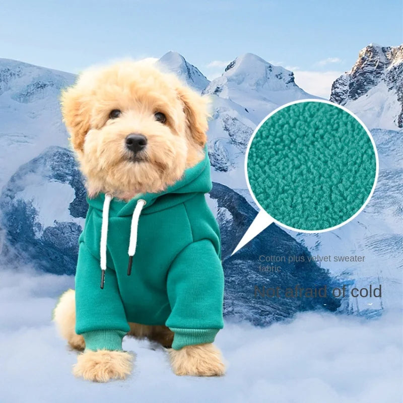 Pet Hoodie Small And Medium Dogs