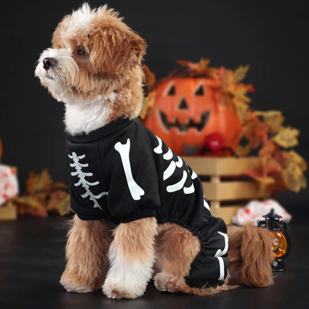 Luminous Skeleton Dog Costumes