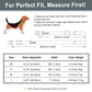 Personalized Anti-lost Pet Collar