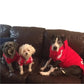Adidog Dog Hoodies Small and Large Breeds
