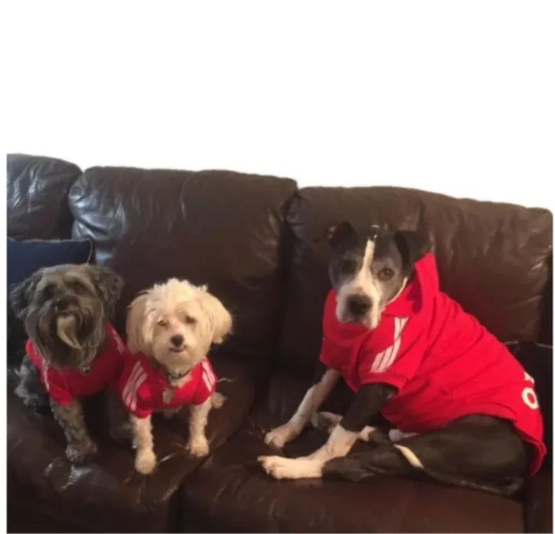 Adidog Dog Hoodies Small and Large Breeds