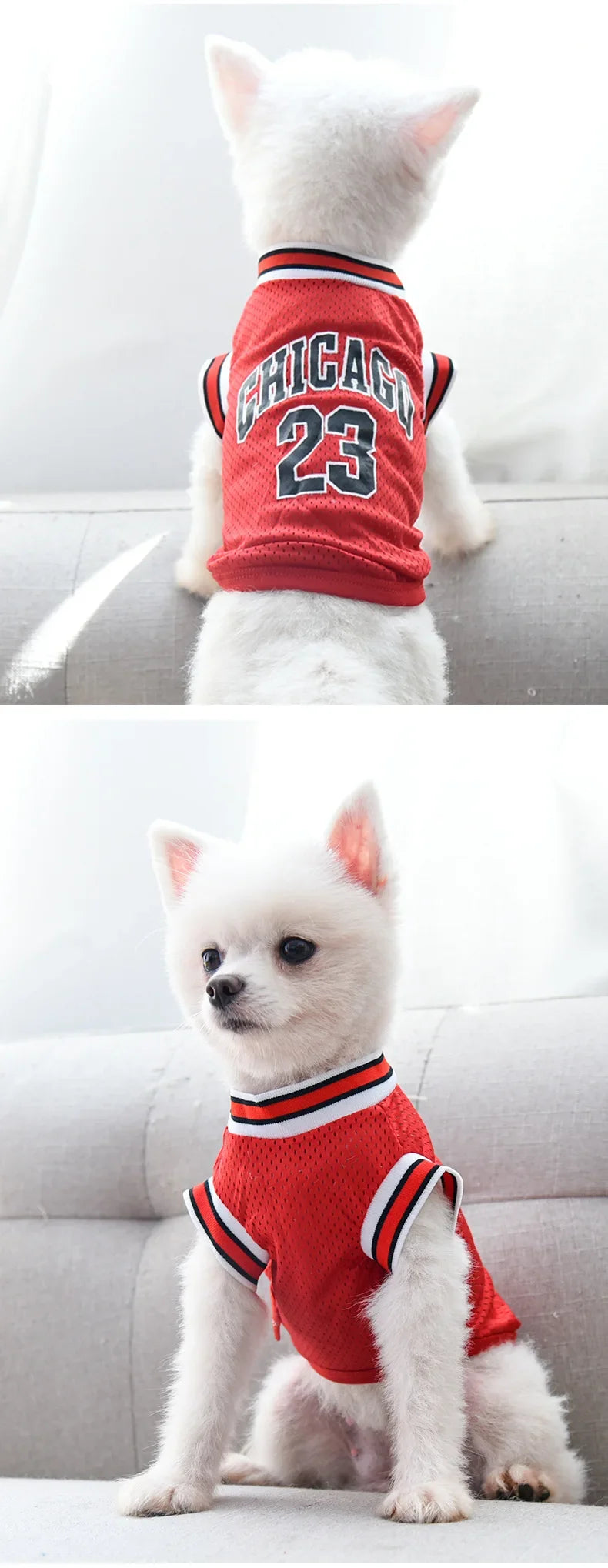Breathable Sport Dog Jersey