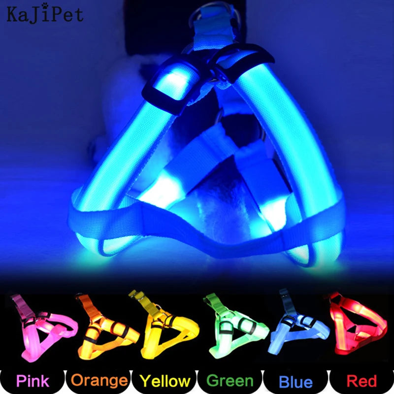 Pet LED Lumious Harness