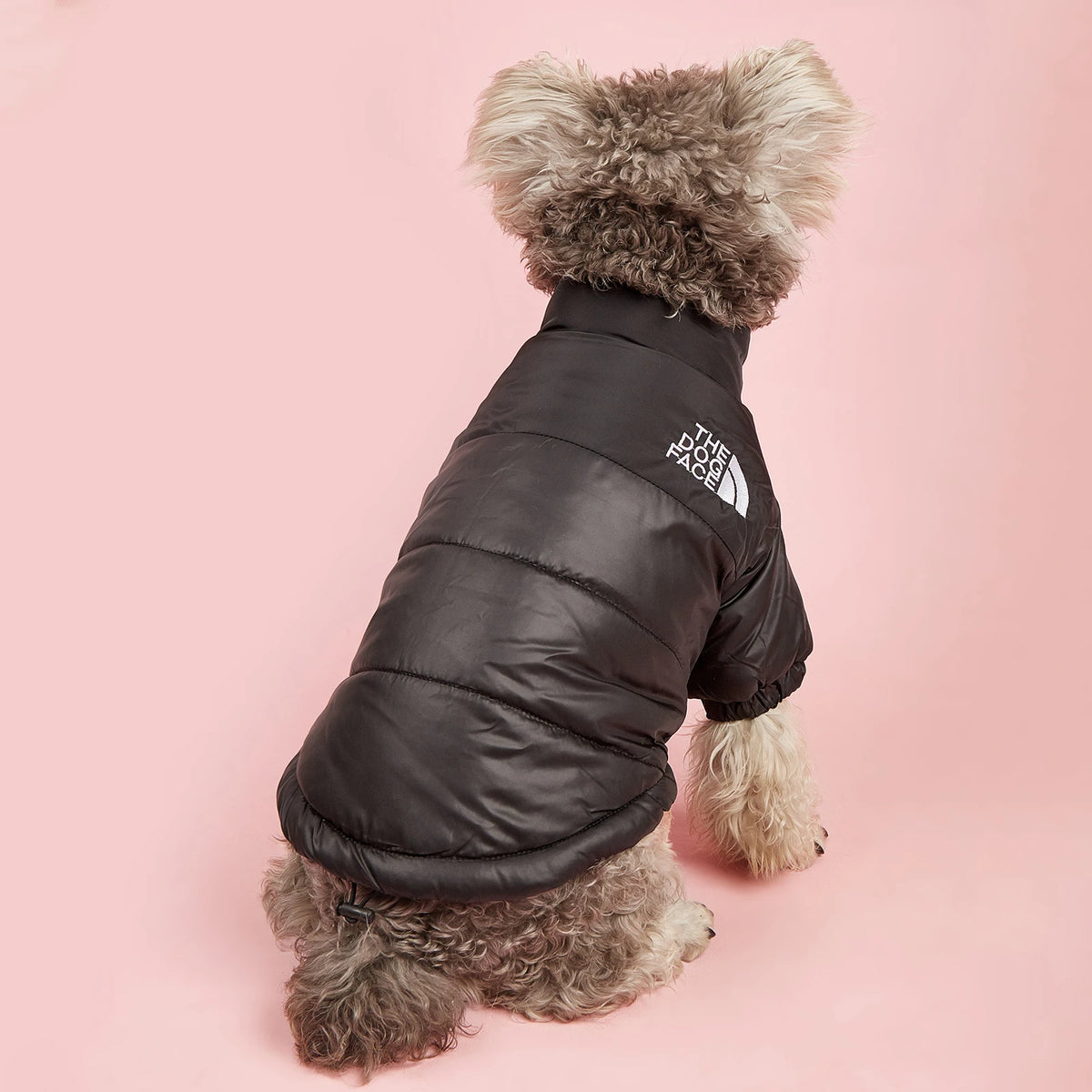 Dogs Snow Jacket