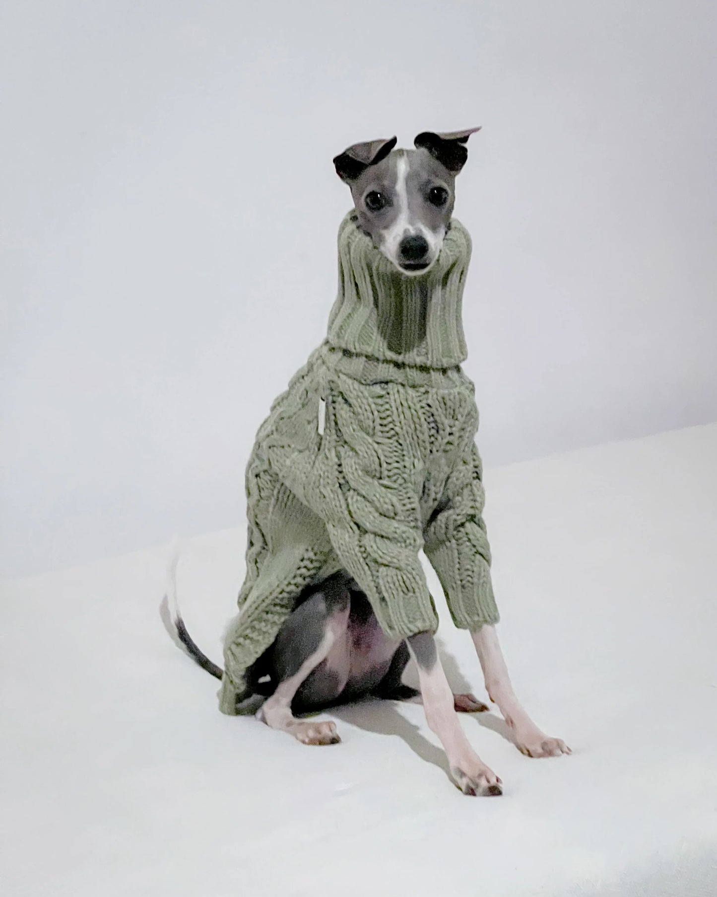 Cozy Dog Sweater - Gray Green