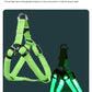 Adjustable LED Dog Harness