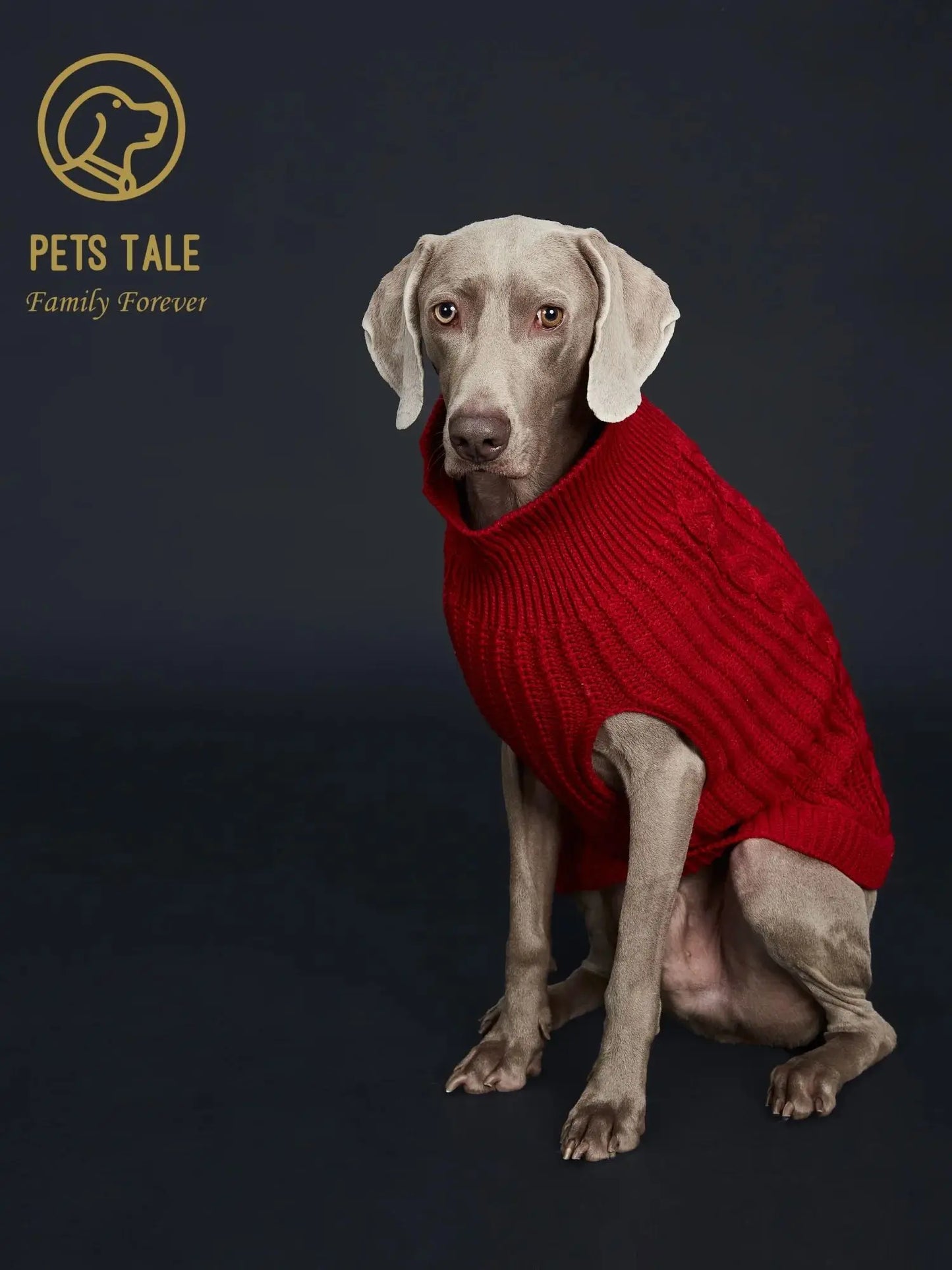 Cozy Knitted Pet Sweater for Winter