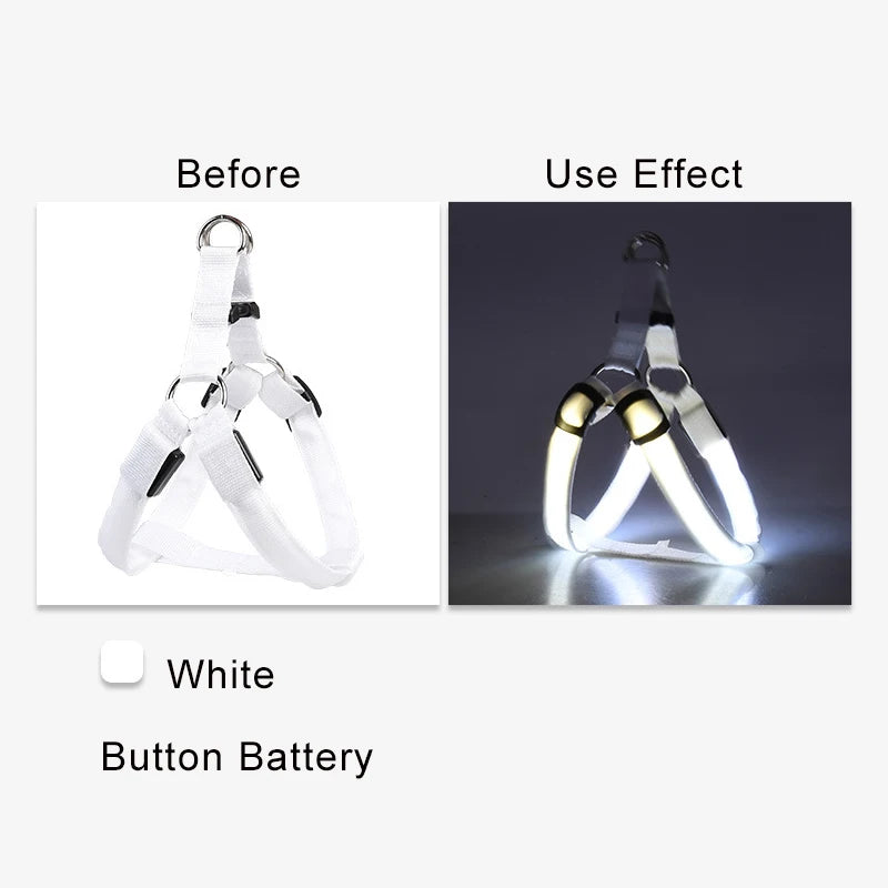 50204777546028|50204777742636|50204777775404