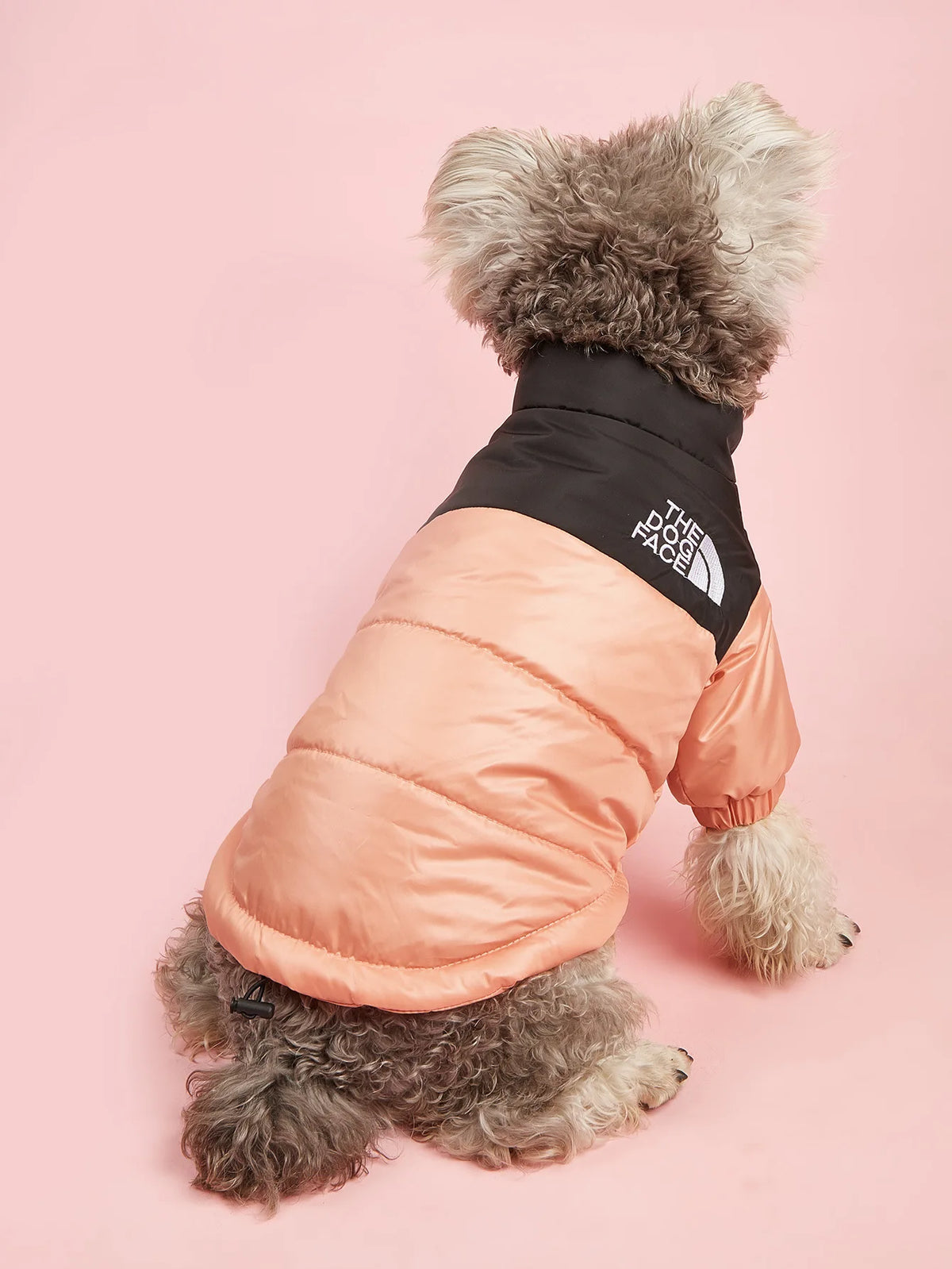 Dogs Snow Jacket