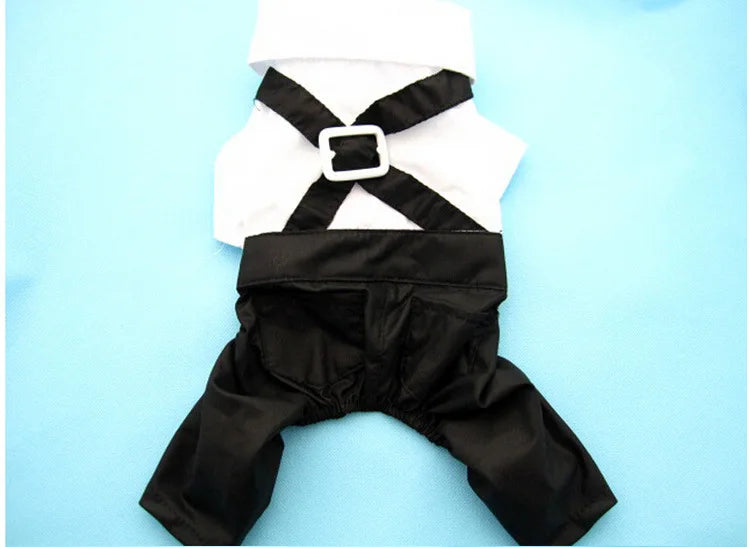 Tuxedo Bow Tie Suit