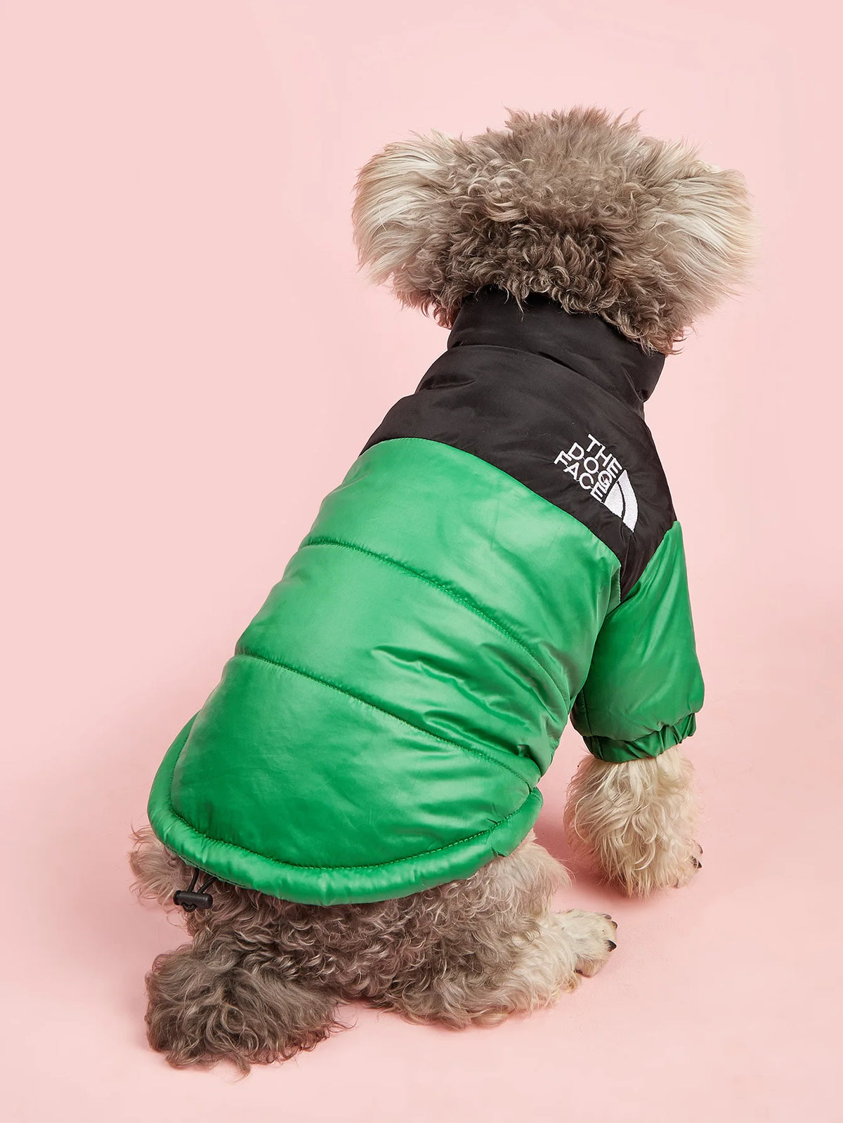 Dogs Snow Jacket