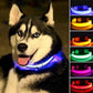 LED Dog Anti-lost Collar Glowing Luminous LED Light