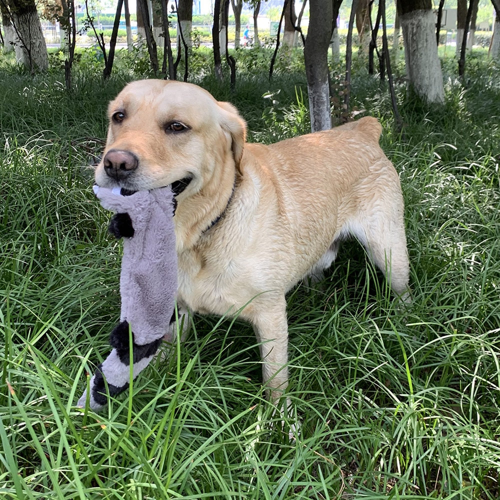 Plush Chew Squeaky Toys