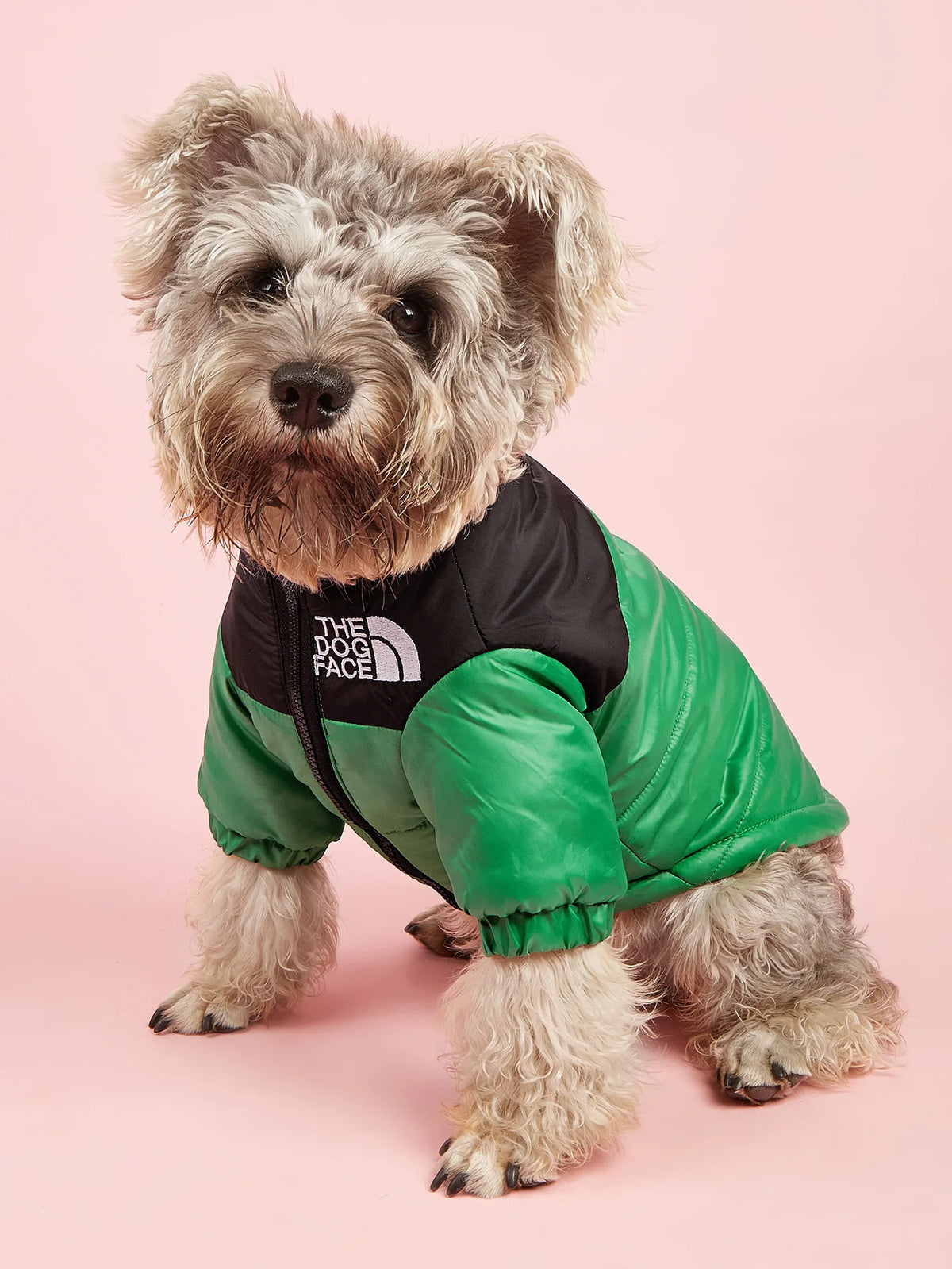 Dogs Snow Jacket