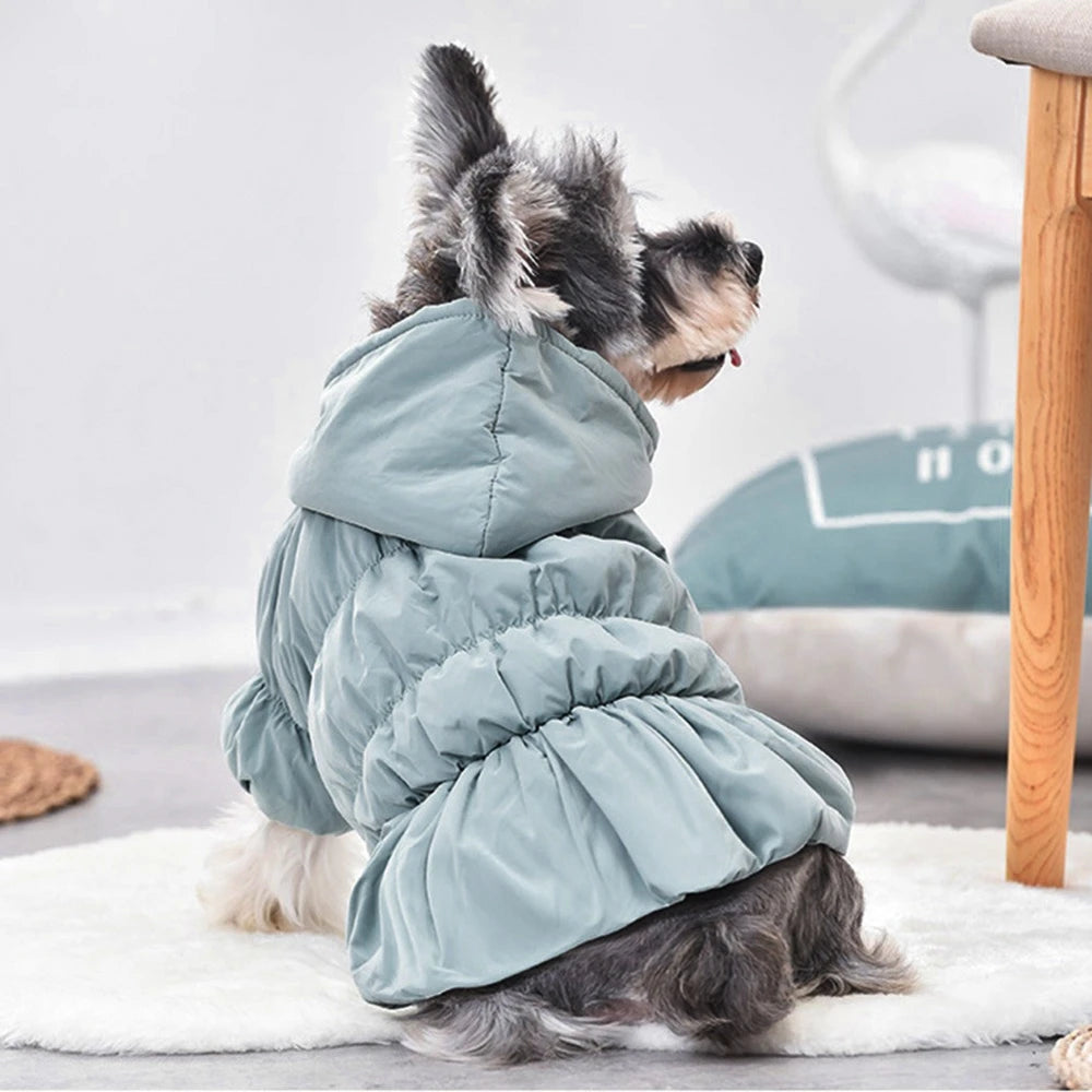 Winter Dress Princess Dog Coat