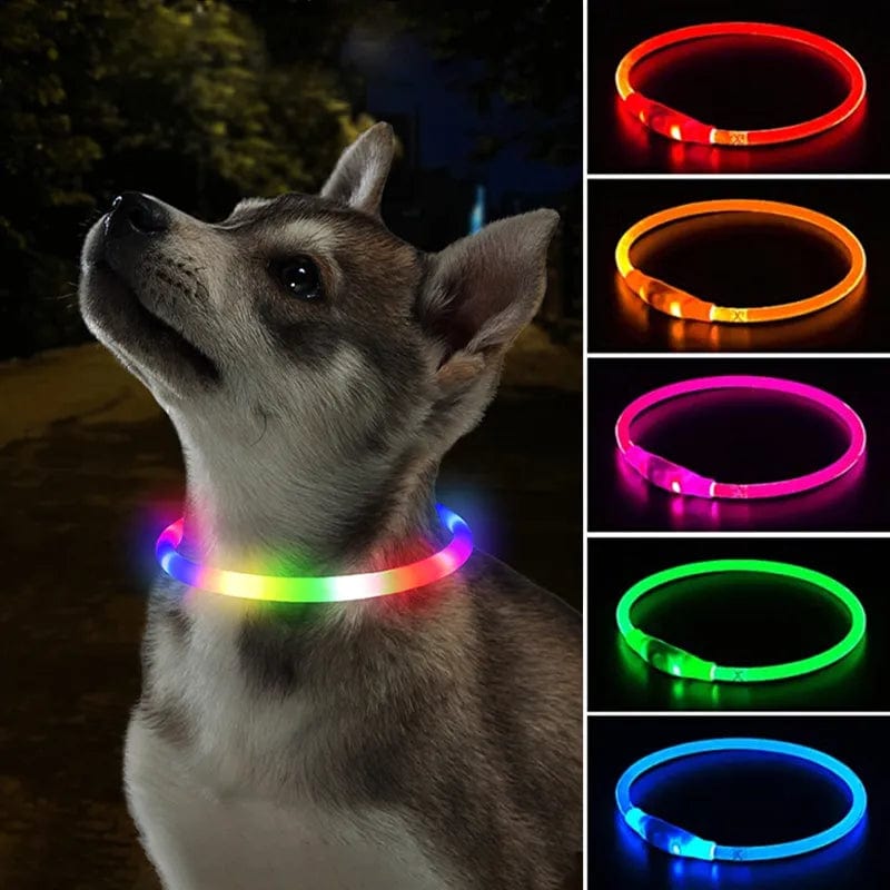 Led Dog Collar Luminous Usb Cat Dog Collar 3 Modes