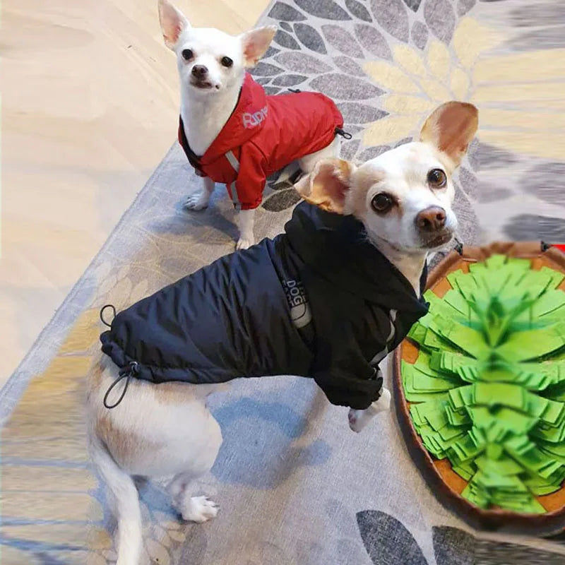 Winter Waterproof Jacket for Small and Large Dogs