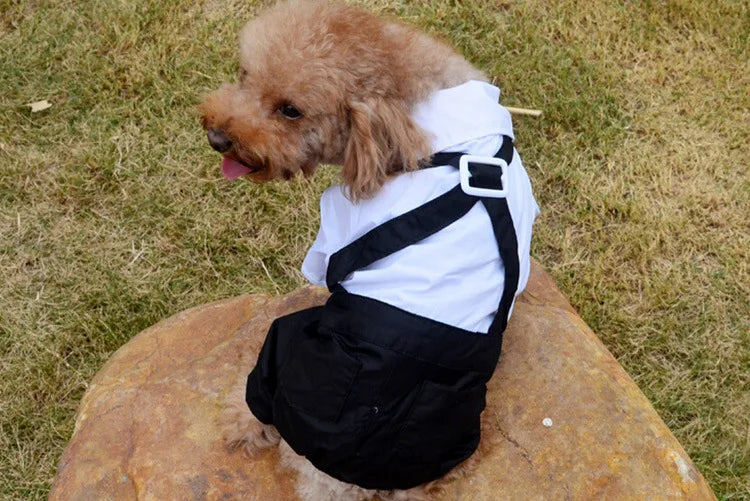 Tuxedo Bow Tie Suit