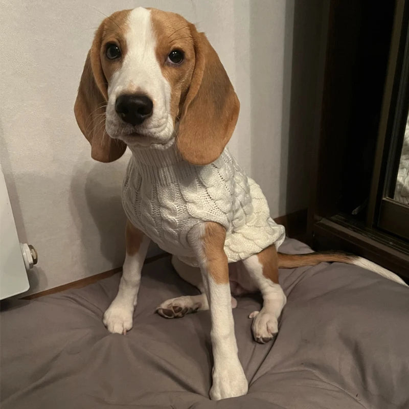 Warm Pet Turtleneck Knit Sweater for small dogs