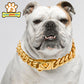 Gold/Stainless Steel Dog Collar