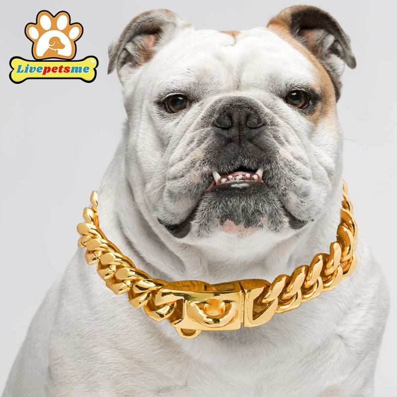 Gold/Stainless Steel Dog Collar