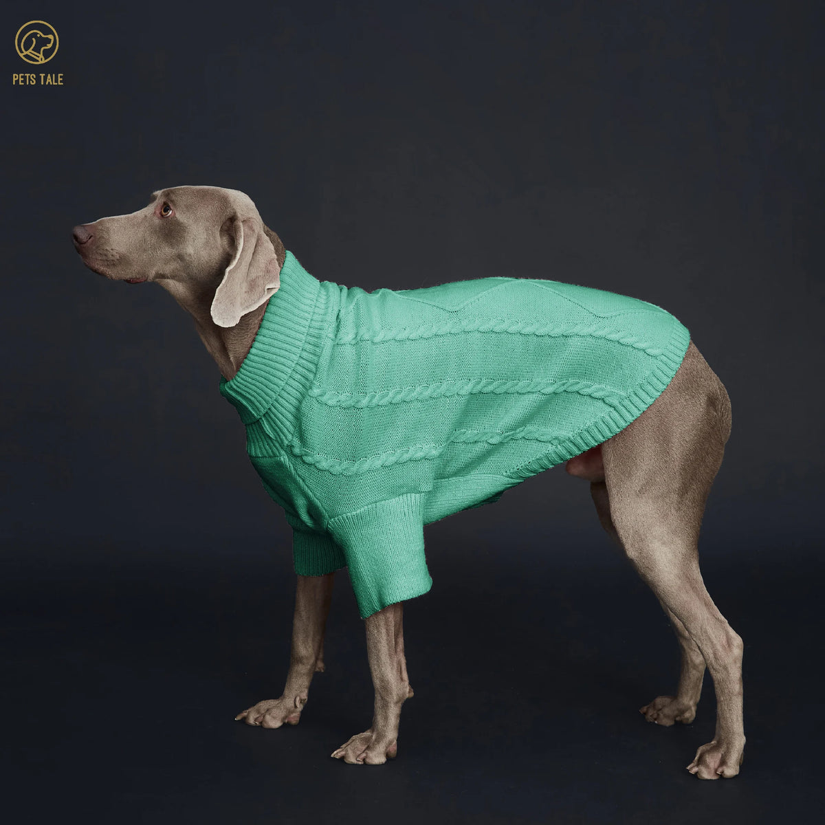 Sweater with Sleeves, Cable Knit, and D-ring Hole Detail for Small and Large Dogs