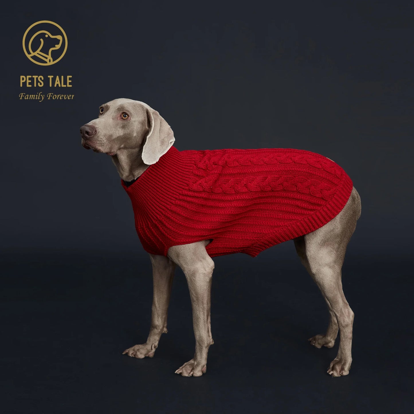 Cozy Knitted Pet Sweater for Winter