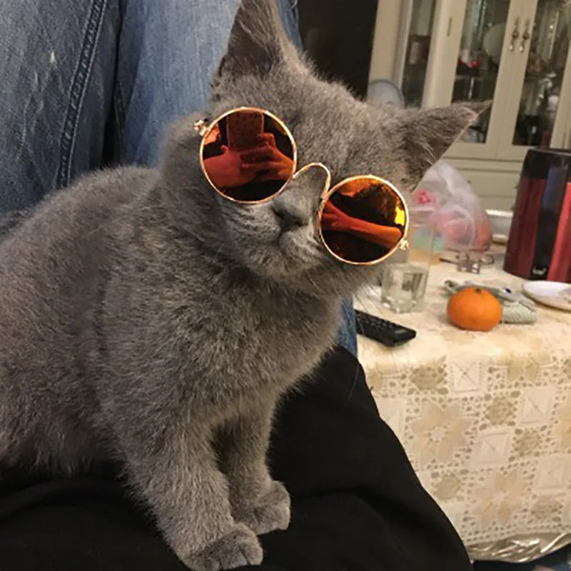 Pet Vintaage Round Sunglasses