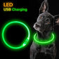 Led Dog Collar Luminous Usb Cat Dog Collar 3 Modes