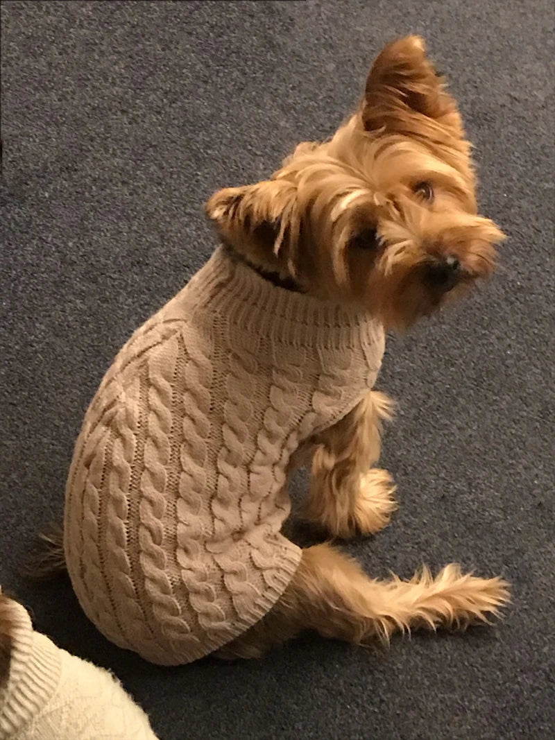 Warm Pet Turtleneck Knit Sweater for small dogs