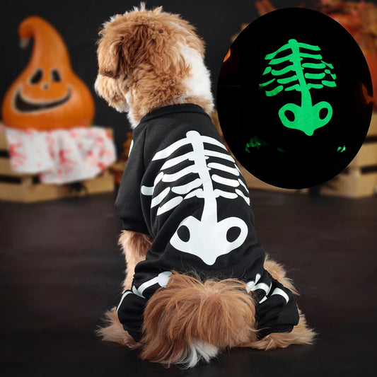 Luminous Skeleton Dog Costumes