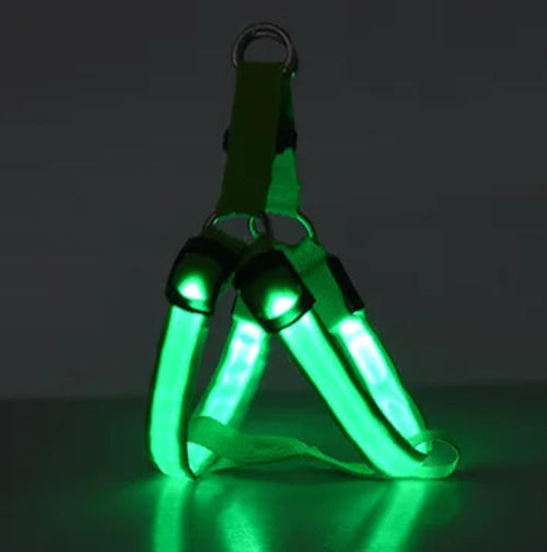 Pet LED Lumious Harness