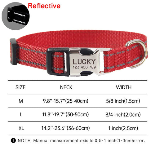 Personalized Dog Collar and Matching Leash