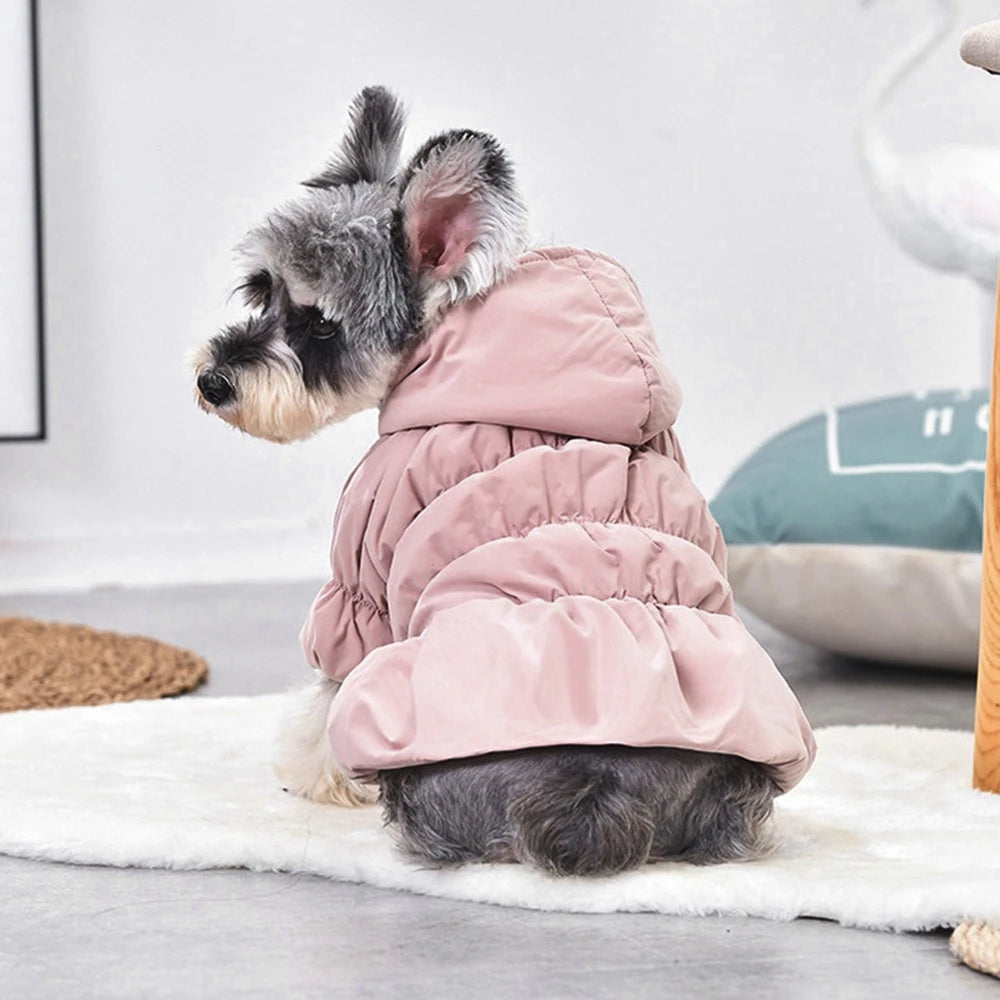 Winter Dress Princess Dog Coat