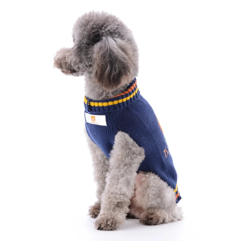 Luxery Pet Halloween Sweater