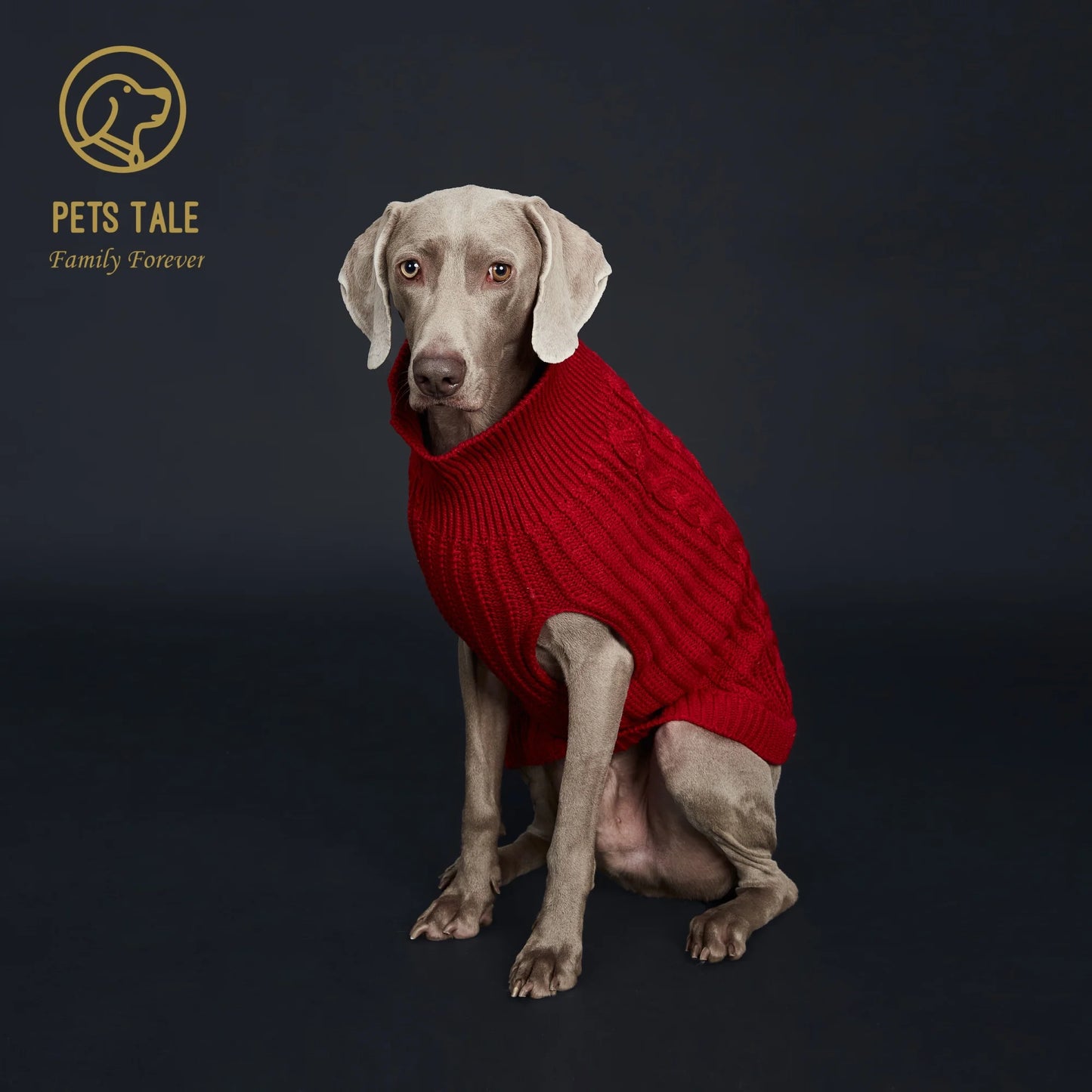 Cozy Knitted Pet Sweater for Winter