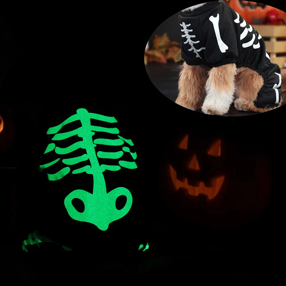 Luminous Skeleton Dog Costumes