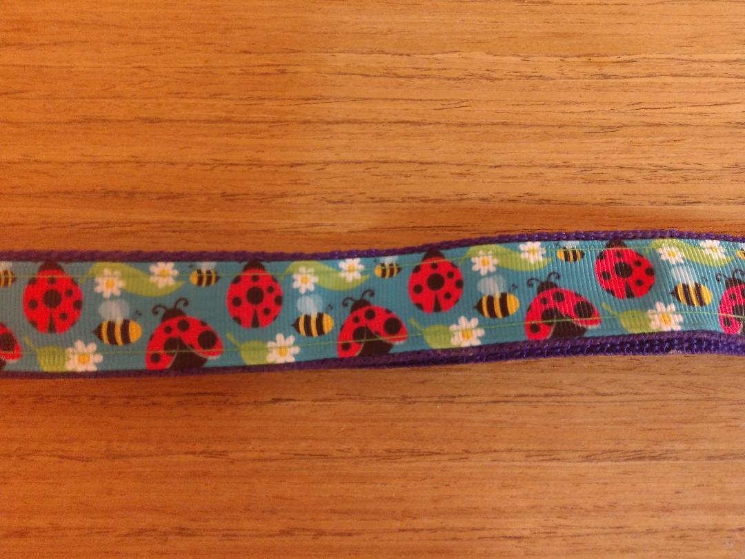 Large & Medium Size Lady Bug Collars and Leash