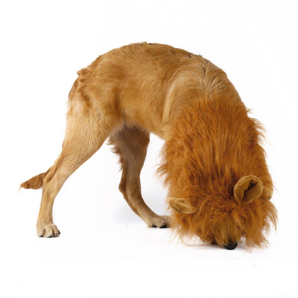 Lion Theme Dog Wig Halloween Costume