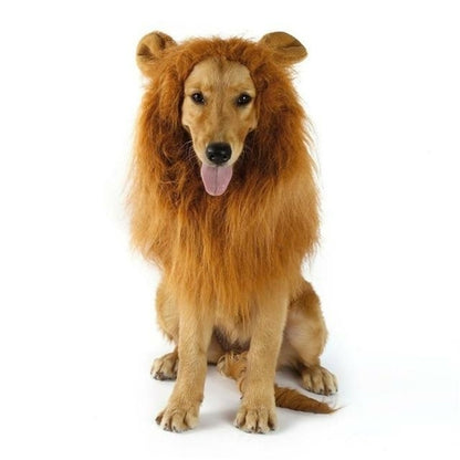 Lion Theme Dog Wig Halloween Costume