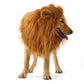 Lion Theme Dog Wig Halloween Costume