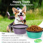 Collapsible Dog Bowls 2 Pack, Silicone Feeding Watering Bowls with Lids & Carabiners for Dogs Cats, Portable Collapsable Water Feeder Food Bowl for Walking Traveling Home Use, Violetturquoise